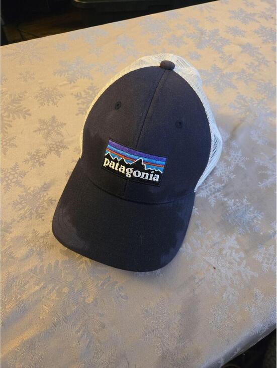 Patagonia Other - Patagonia P-6 Logo Trucker Hat Navy/White